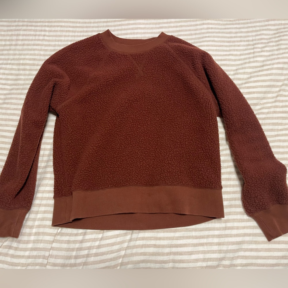 Everlane Rust Brown Renew Fleece sweatshirt